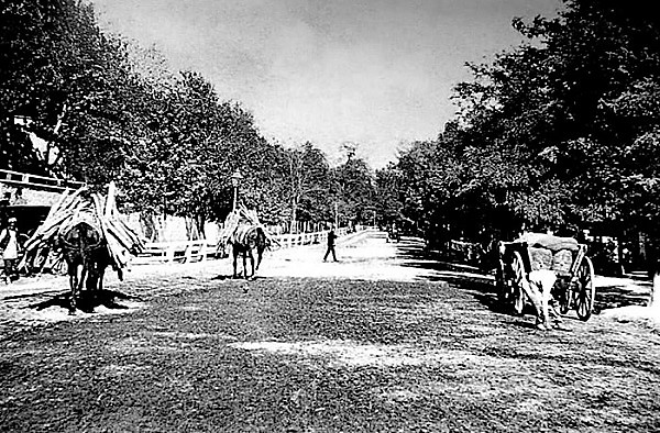 dolmabahce_caddesi